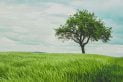 environnement ecologique chine