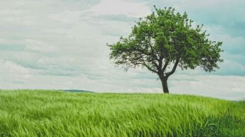 environnement ecologique chine