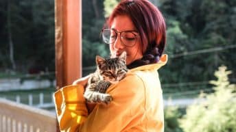 voyager avec son chat à l'étranger